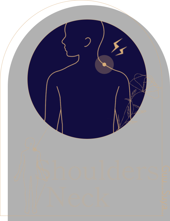 Shoulders/Neck